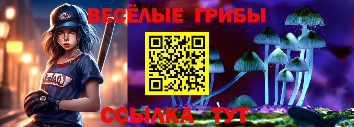 Галлюциногенные грибы GOLDEN TEACHER  Вход с VPN  Полысаево 